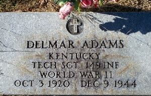 adams delmar headstone